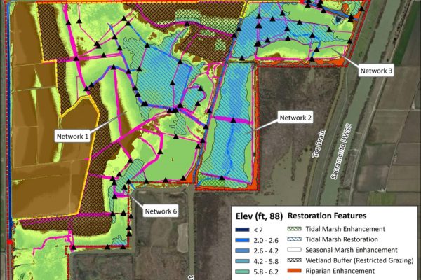 Tidal Wetland Restoration