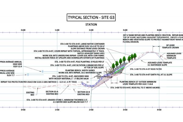Floodplain Restoration and Management