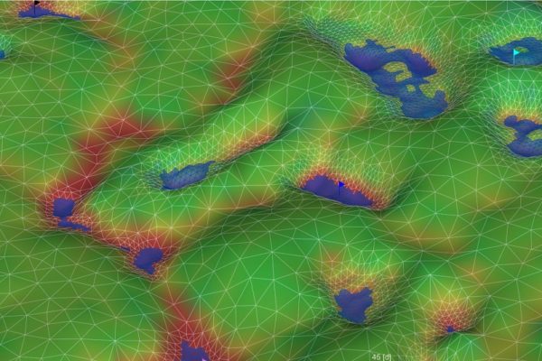 Vernal Pool Design