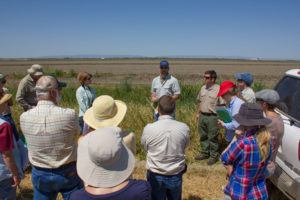 Chris Campbell leading a tour of the Yolo Bypass.