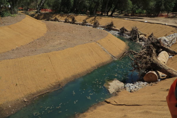 Conditions immediately after root wads construction